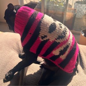 Chilly dog 100% wool sweater